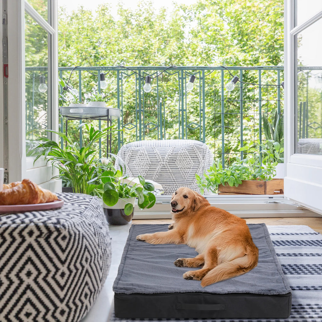 Orthopedic Dog Beds for Large & Medium Dogs