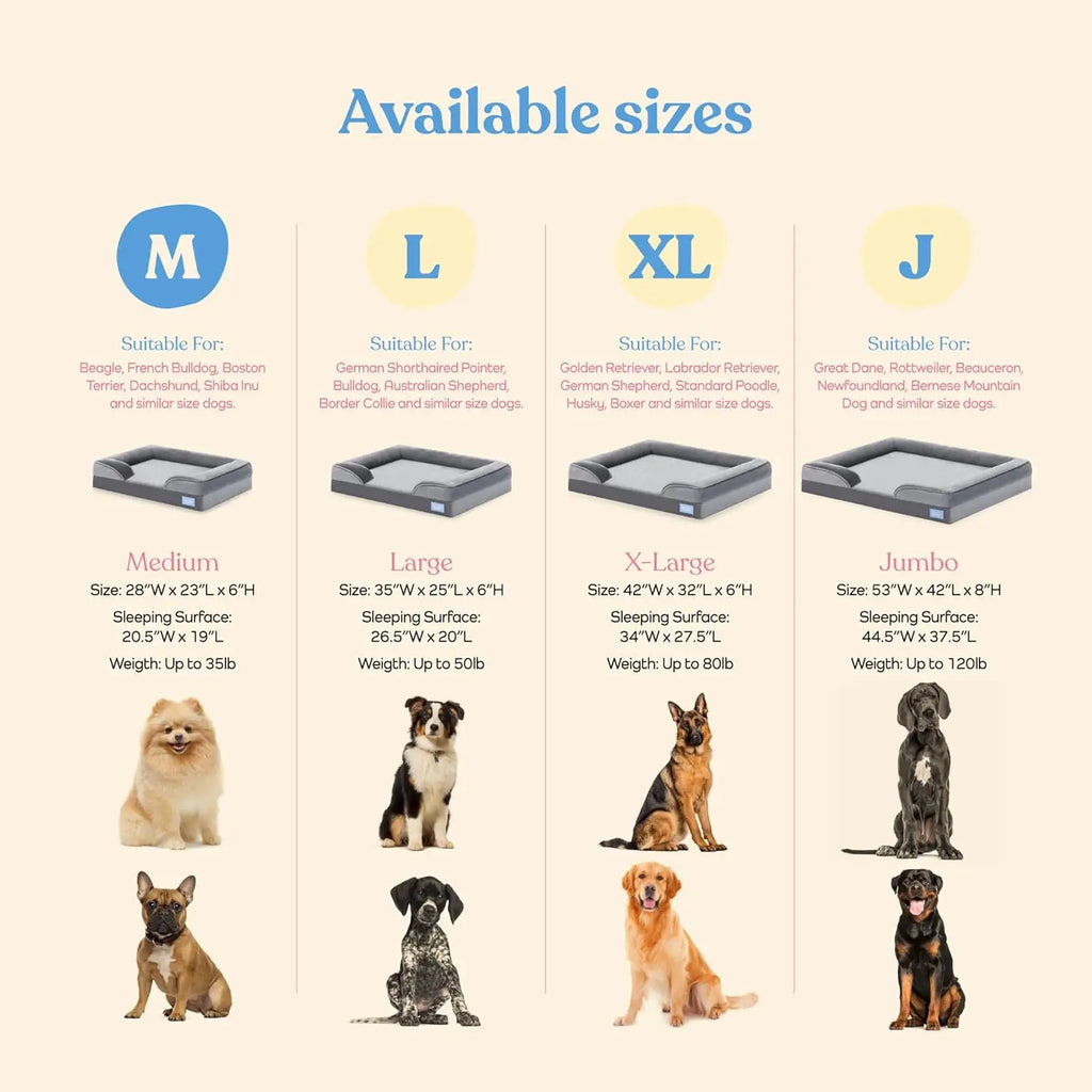 Orthopedic Dog Bed for Medium Dogs - Ultra Comfortable