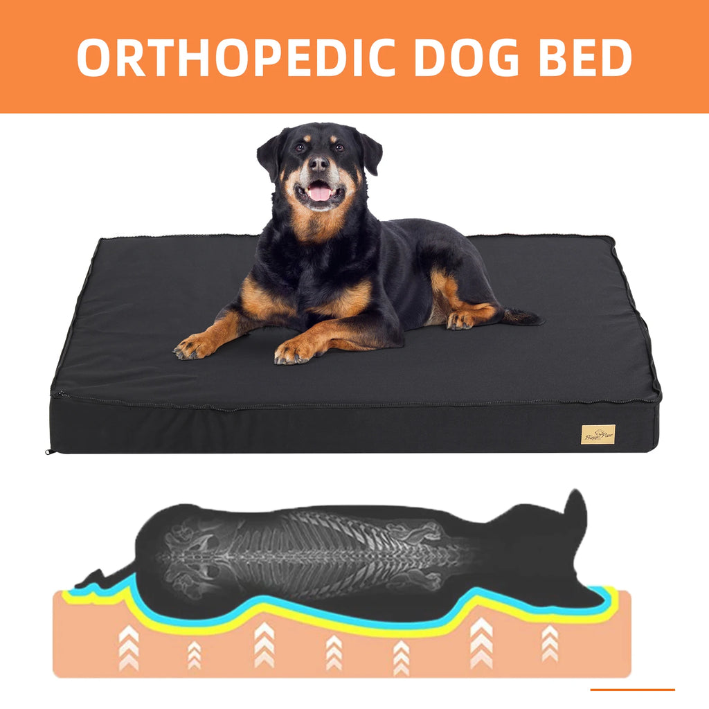 Orthopedic Dog Beds for Large & Medium Dogs