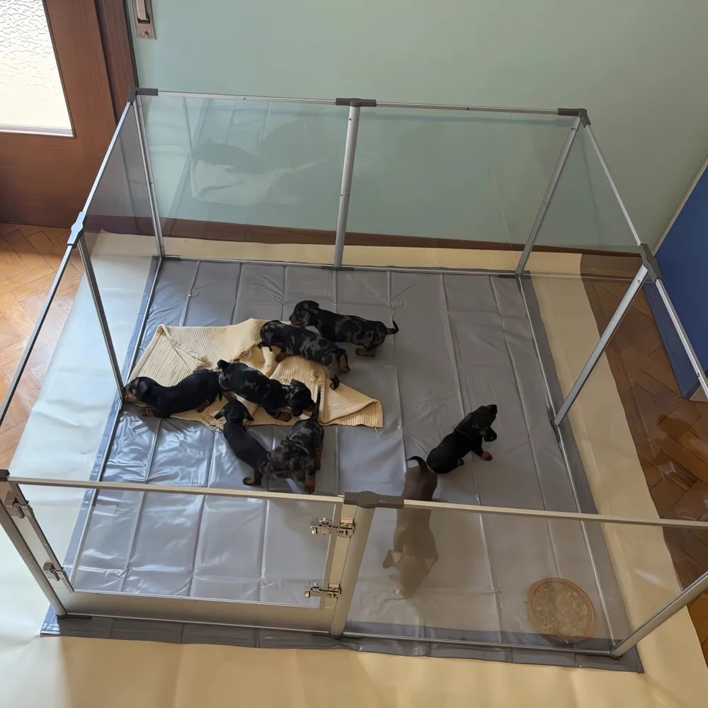 XXL Acrylic Dog Playpen Clear Exercise Enclosure