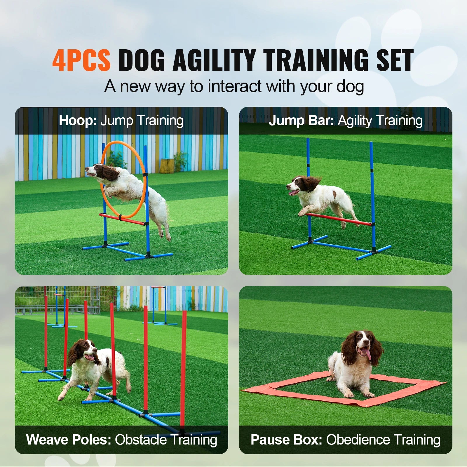 Dog Agility Training Equipment 4 PCS Set with Adjustable High