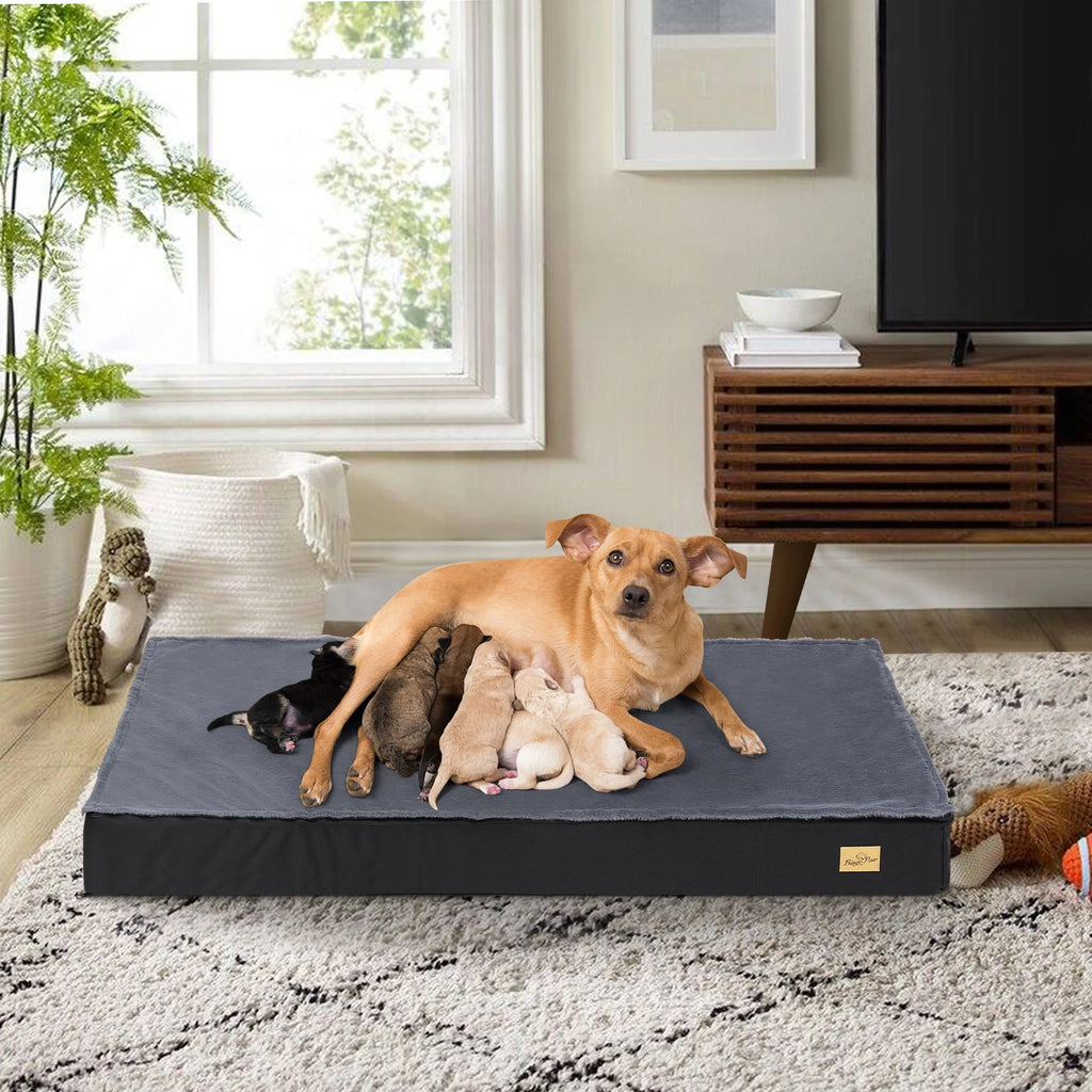 Orthopedic Dog Beds for Large & Medium Dogs
