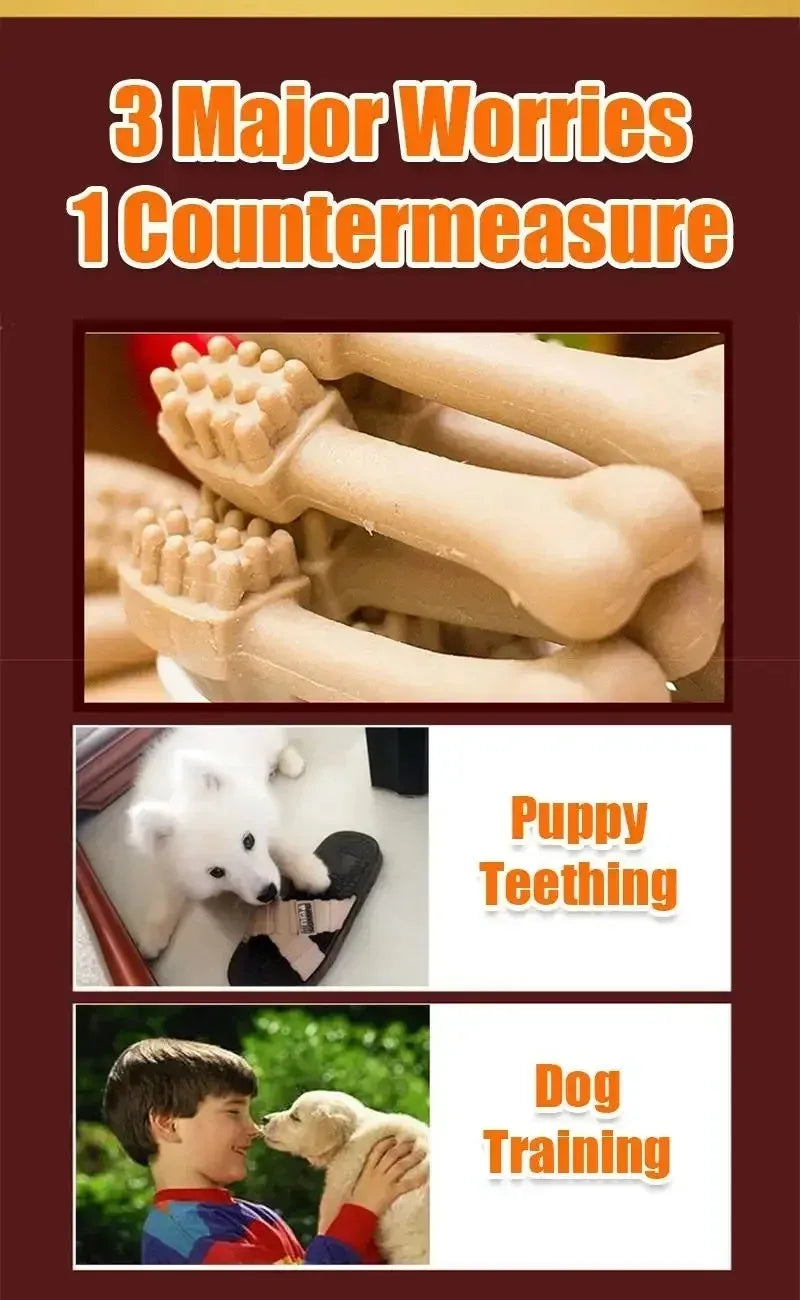 New Dog Bruxism Stick Toothbrush Bone